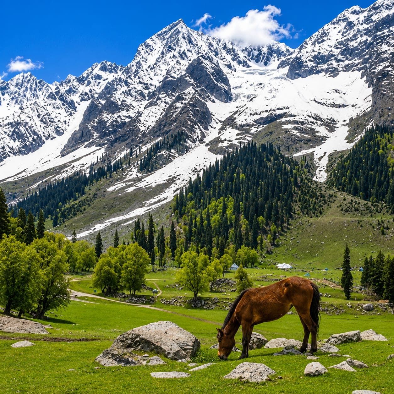 Pahalgam valley in Kashmir framed by snow-capped Himalayan peaks