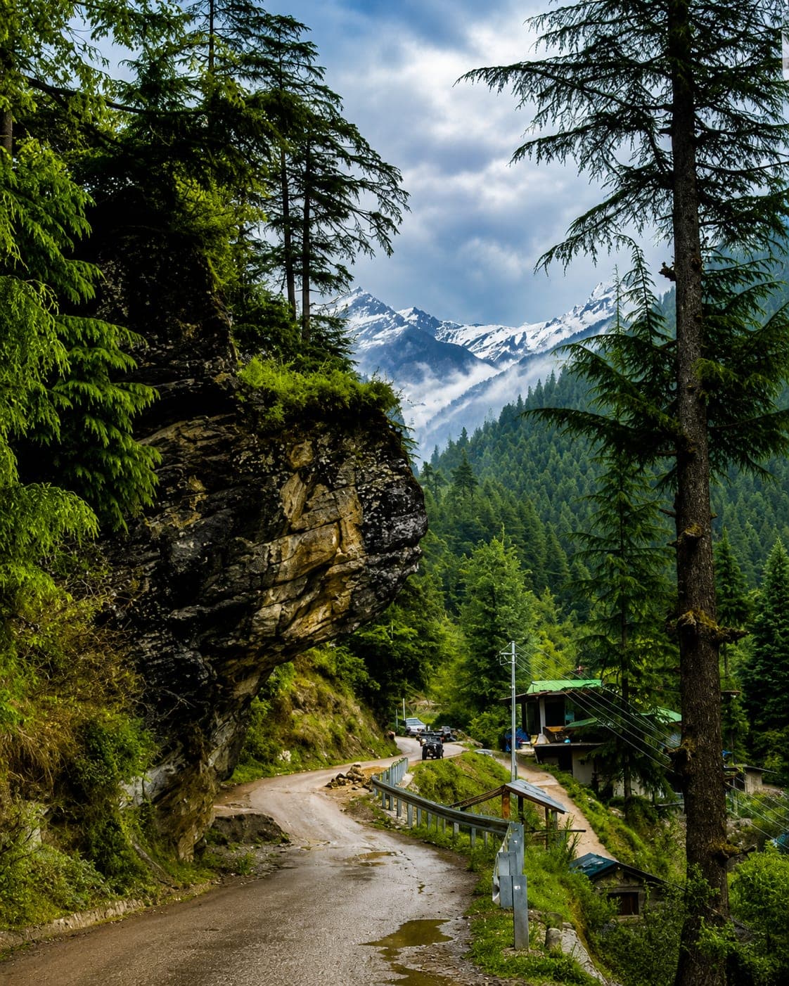 A scenic mountain road through deodar forest on the way to Manali