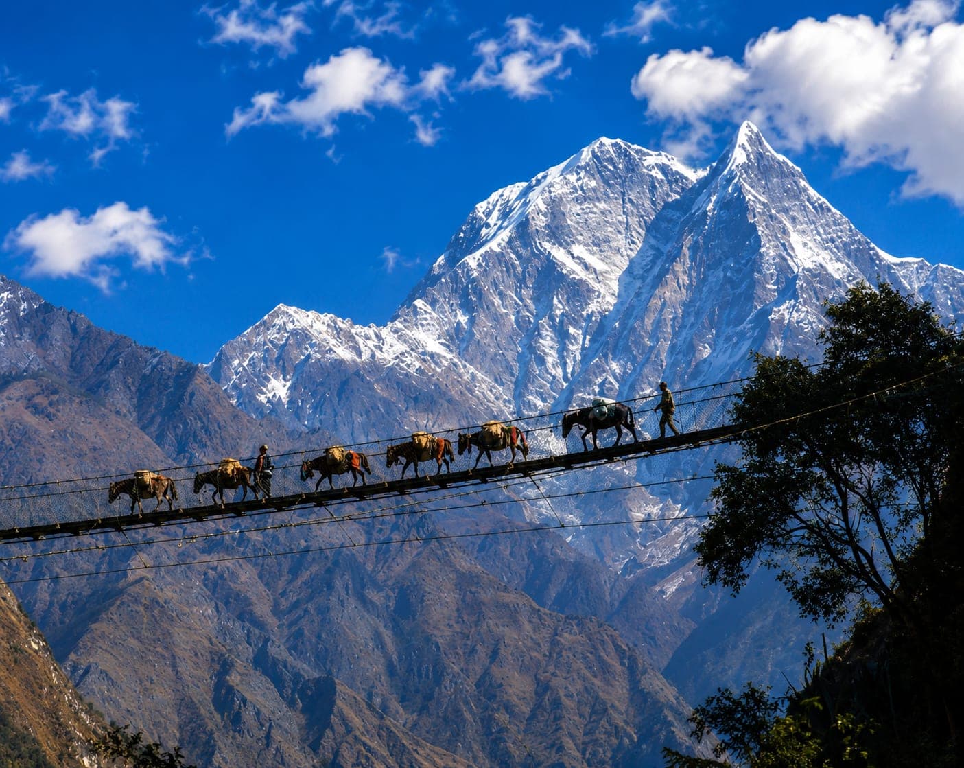 A mule caravan crossing a Himalayan suspension bridge in Nepal