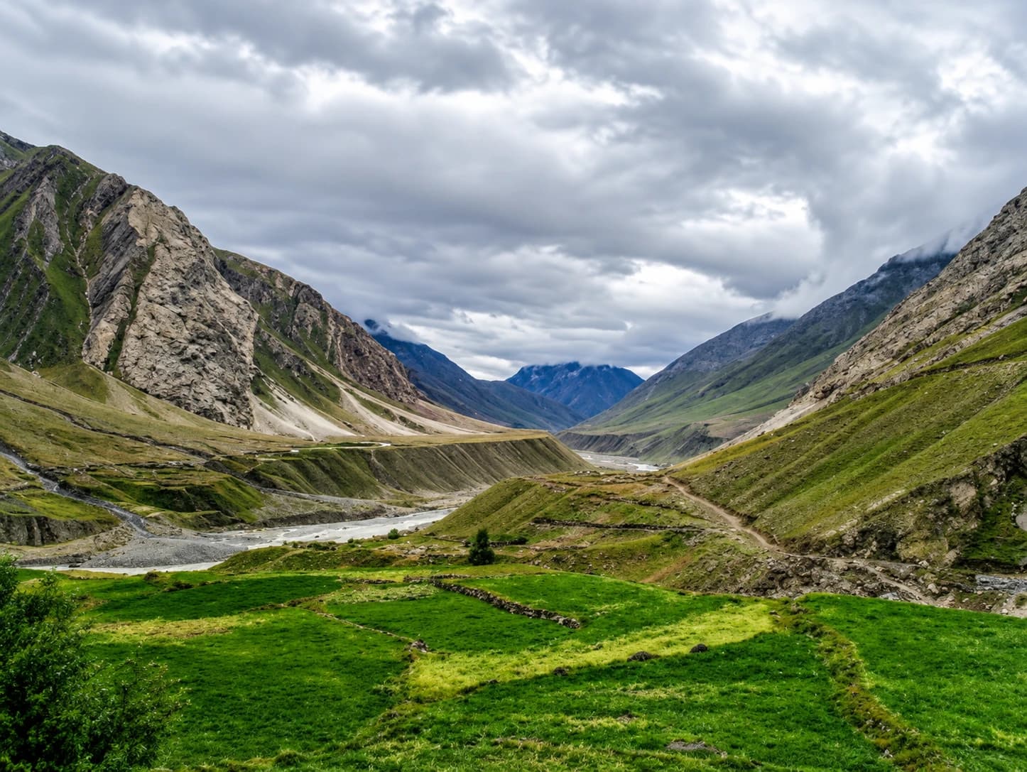 Green terraced fields along a river valley in Spiti in June, with cloud-wrapped mountains behind